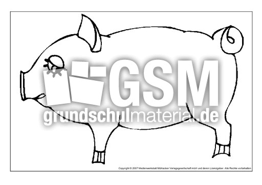 Schwein.pdf